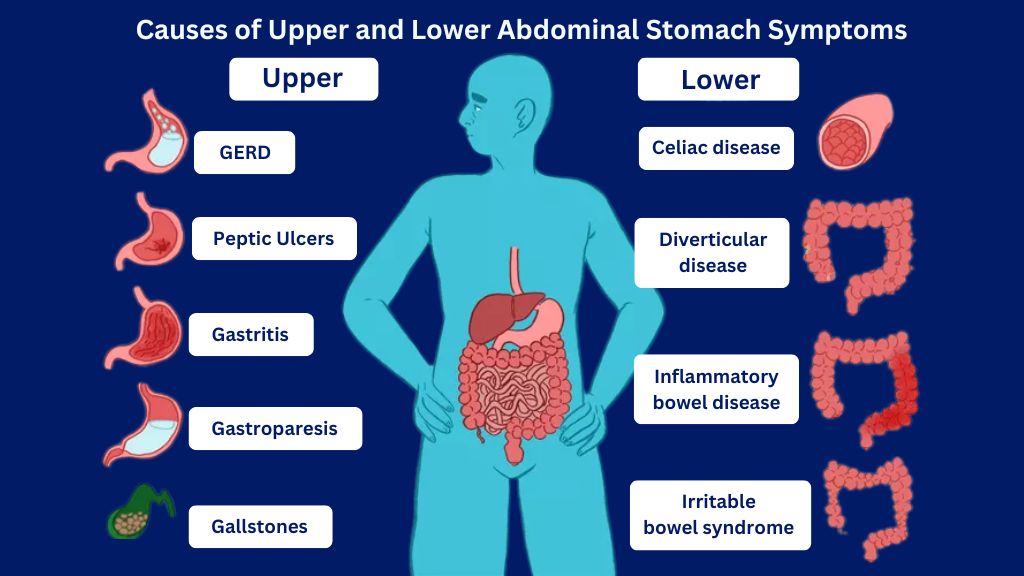 Common Digestive