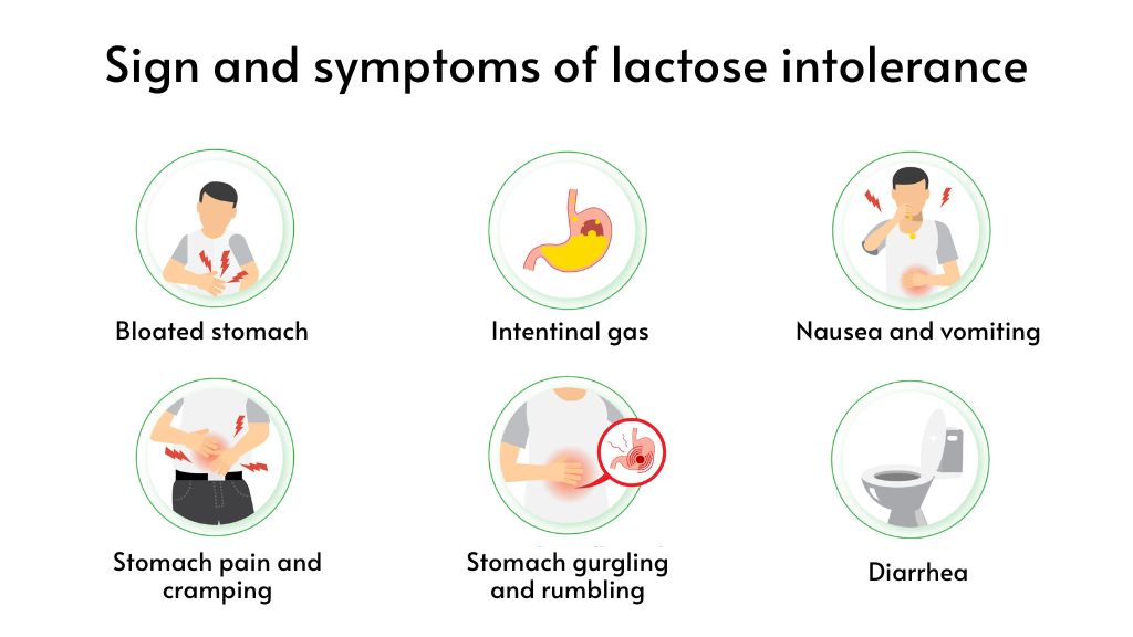 Dairy and Lactose Intolerance